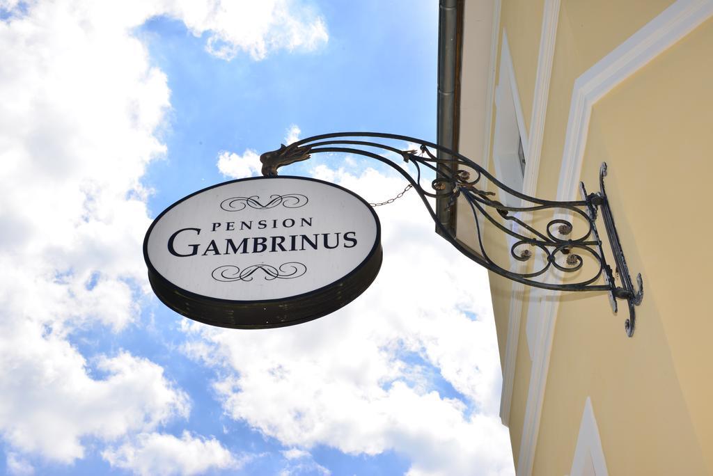 פסאו Pension Gambrinus מראה חיצוני תמונה